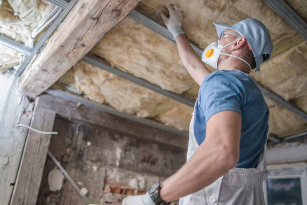 Insulation Repair Services in Alta, IA