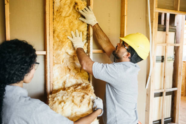 Attic Insulation Near Me in Alta, IA