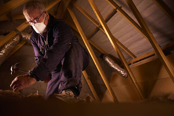 Range of Insulation Solutions in Alta, IA